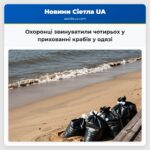 Охоронці звинуватили чотирьох у прихованні крабів у одязі