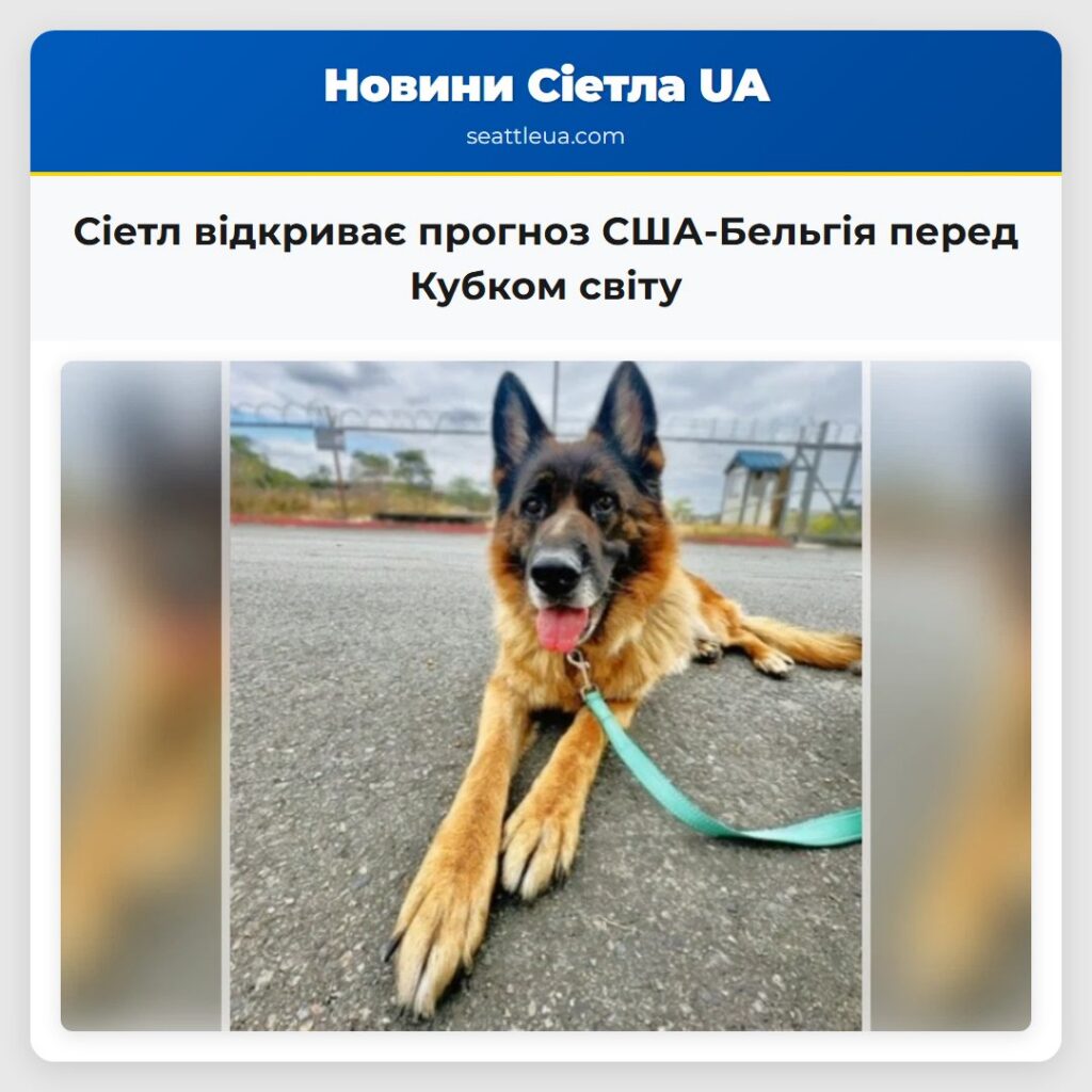 Сіетл відкриває прогноз США-Бельгія перед Кубком
