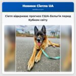 Сіетл відкриває прогноз США-Бельгія перед Кубком світу