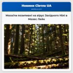 Москіти позитивні на вірус Західного Нілі в Мозес Лейк