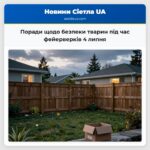 Поради щодо безпеки тварин під час фейерверків 4 липня