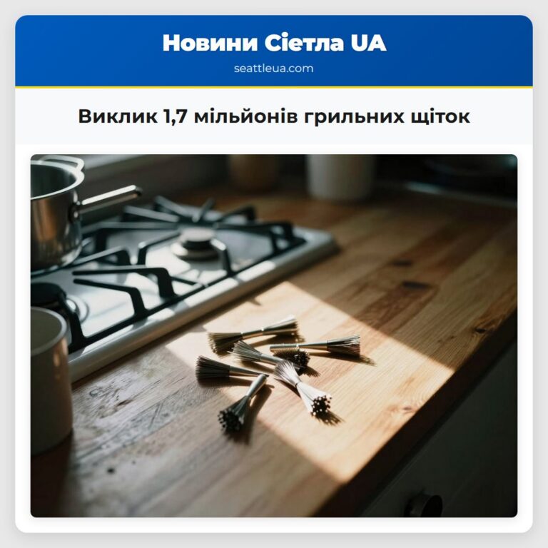 Виклик 17 мільйонів грильних щіток