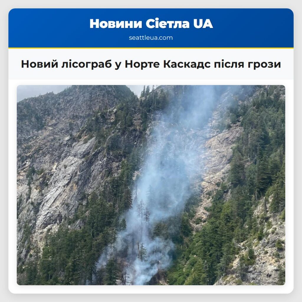 Новий лісограб у Норте Каскадс після грози
