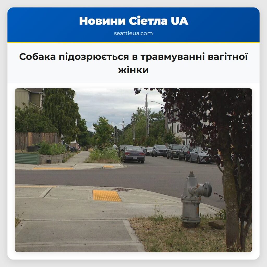 Собака підозрюється в травмуванні вагітної жінки