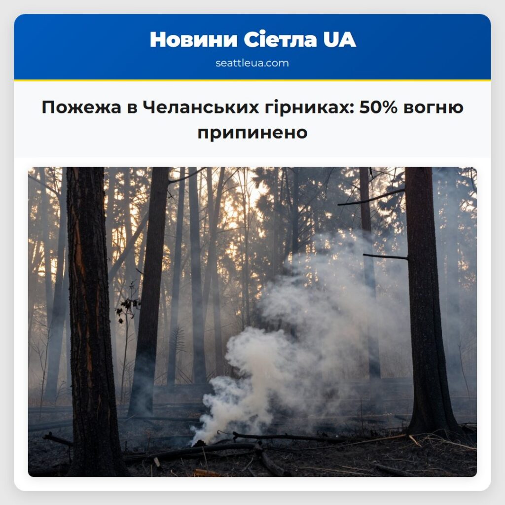 Пожежа в Челанських гірниках: 50% вогню припинено