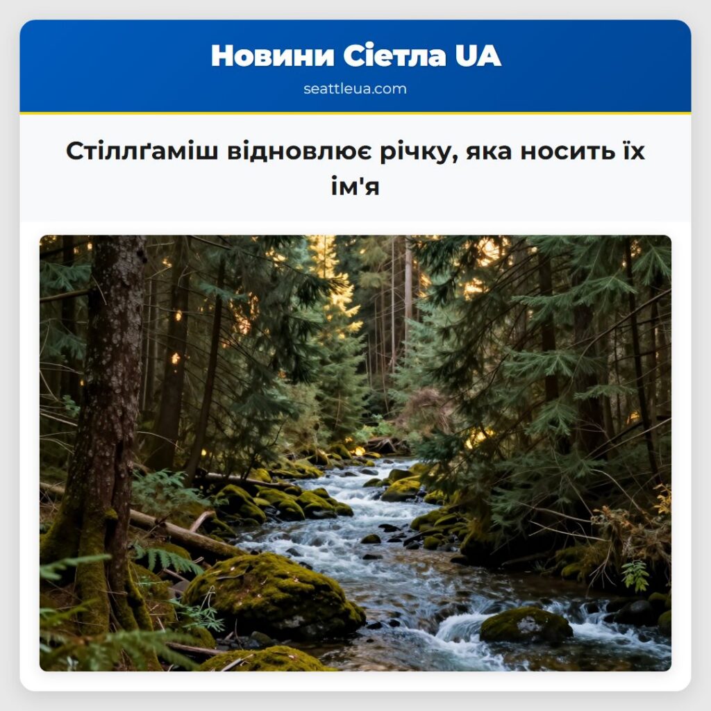 Стіллґаміш відновлює річку, яка носить їх ім'я